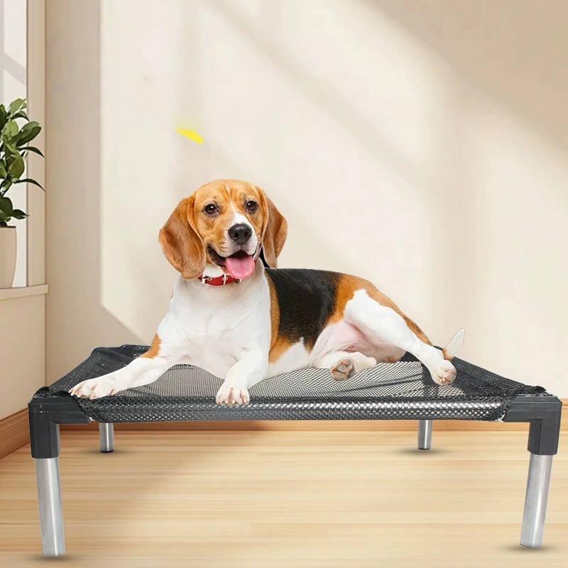 Cama para perros elevada con e - Outdoor Camping Cot reseña y precio