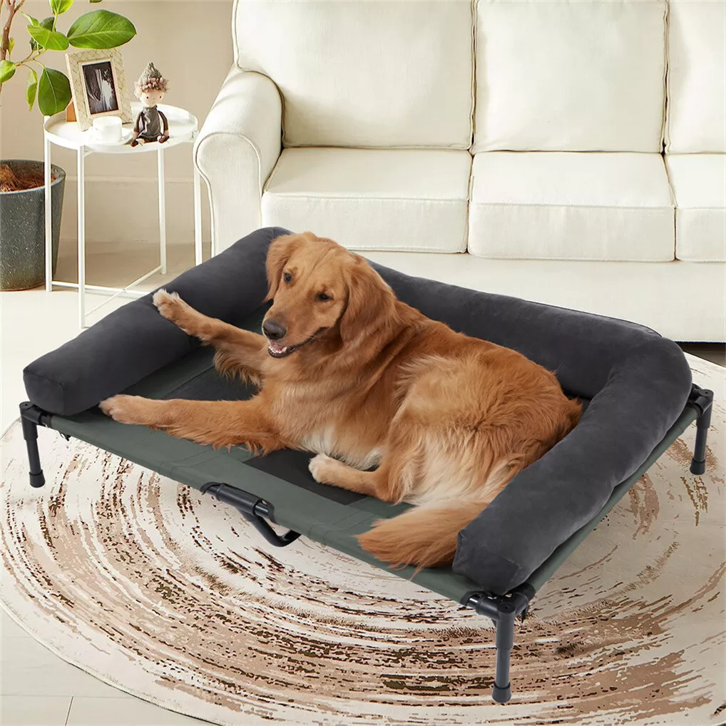 Cama elevada para perros BINGO - Outdoor Camping Cot reseña y precio