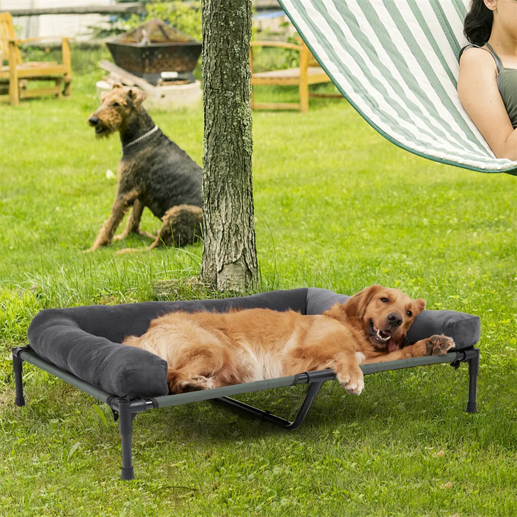 Cama elevada para perros BINGO - Outdoor Camping Cot reseña y precio