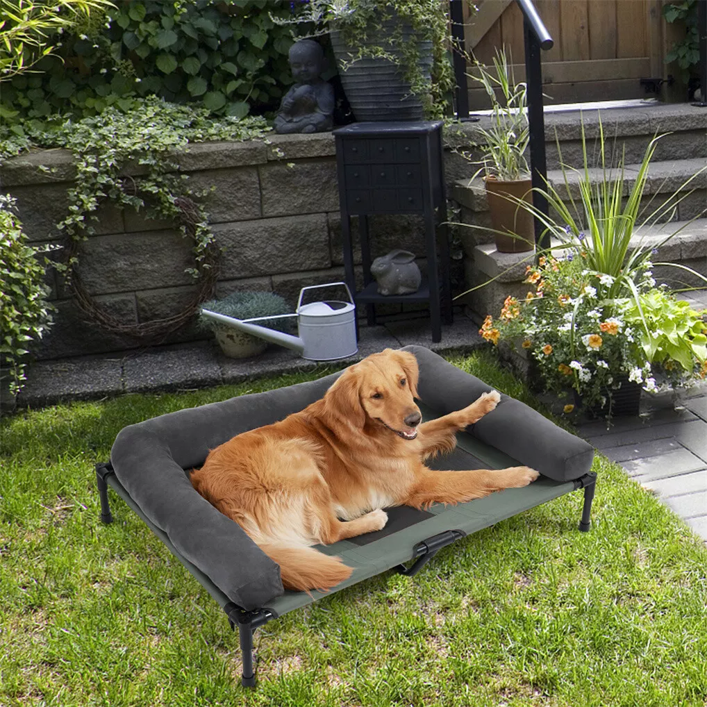 Cama elevada para perros BINGO - Outdoor Camping Cot reseña y precio